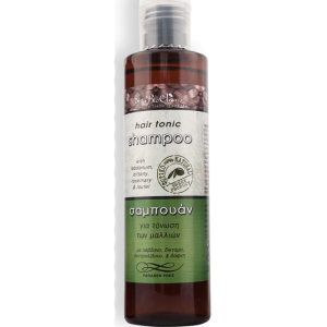 Natuurlijke tonic shampoo voor beschadigd haar (toning) / 250ml
